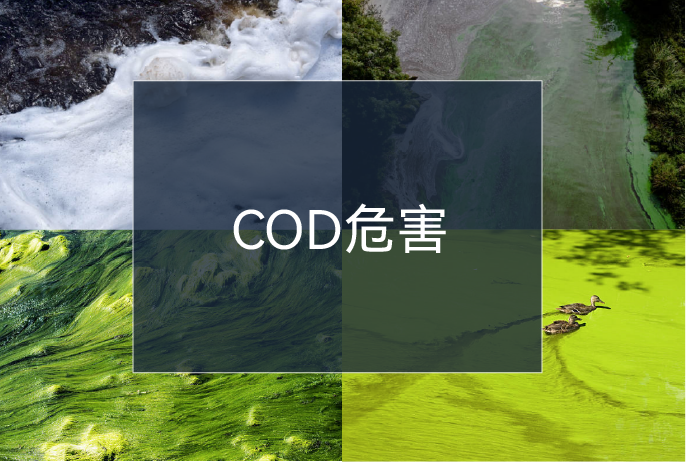 20230609131806_90246 J9ÓÎÏ·¡¤¡¾Öйú¡¿¹Ù·½ÍøÕ¾